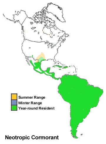 Neotropic Cormorant Range Map